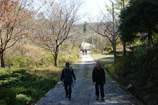 화산회관앞 이미지