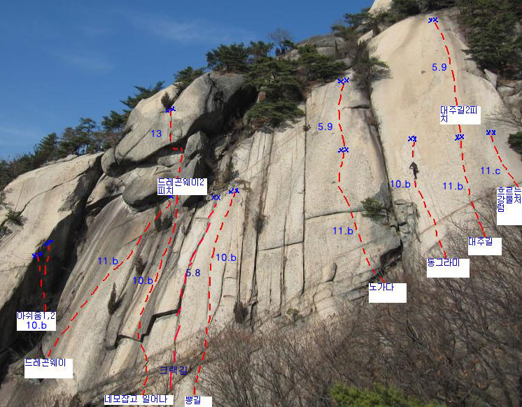 대주 이미지