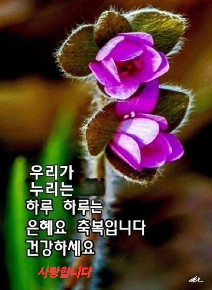 좋은문구 이미지