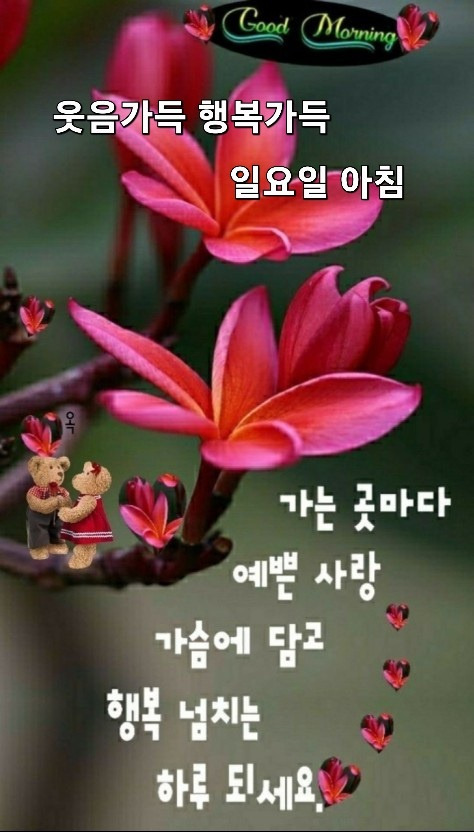 좋은문구 이미지