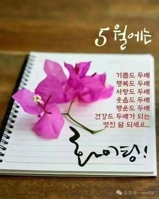 오월에 이미지