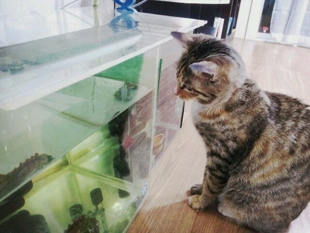 그림의떡 이미지