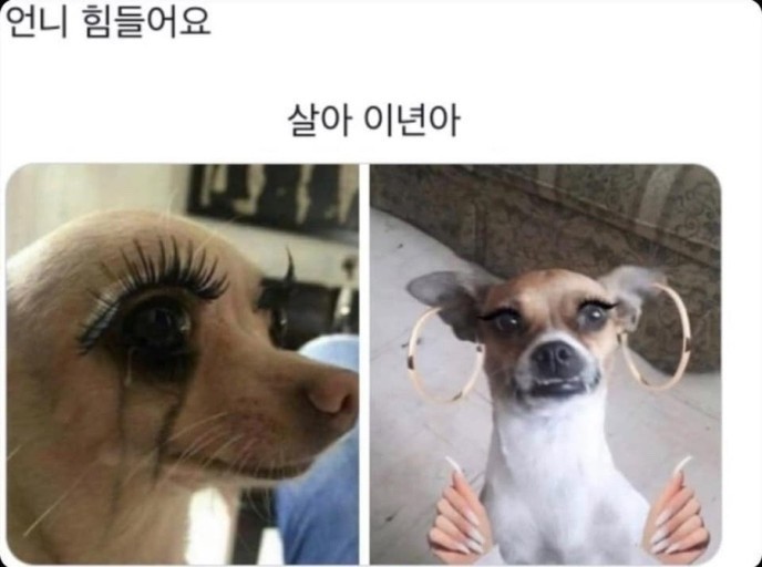 아 이미지
