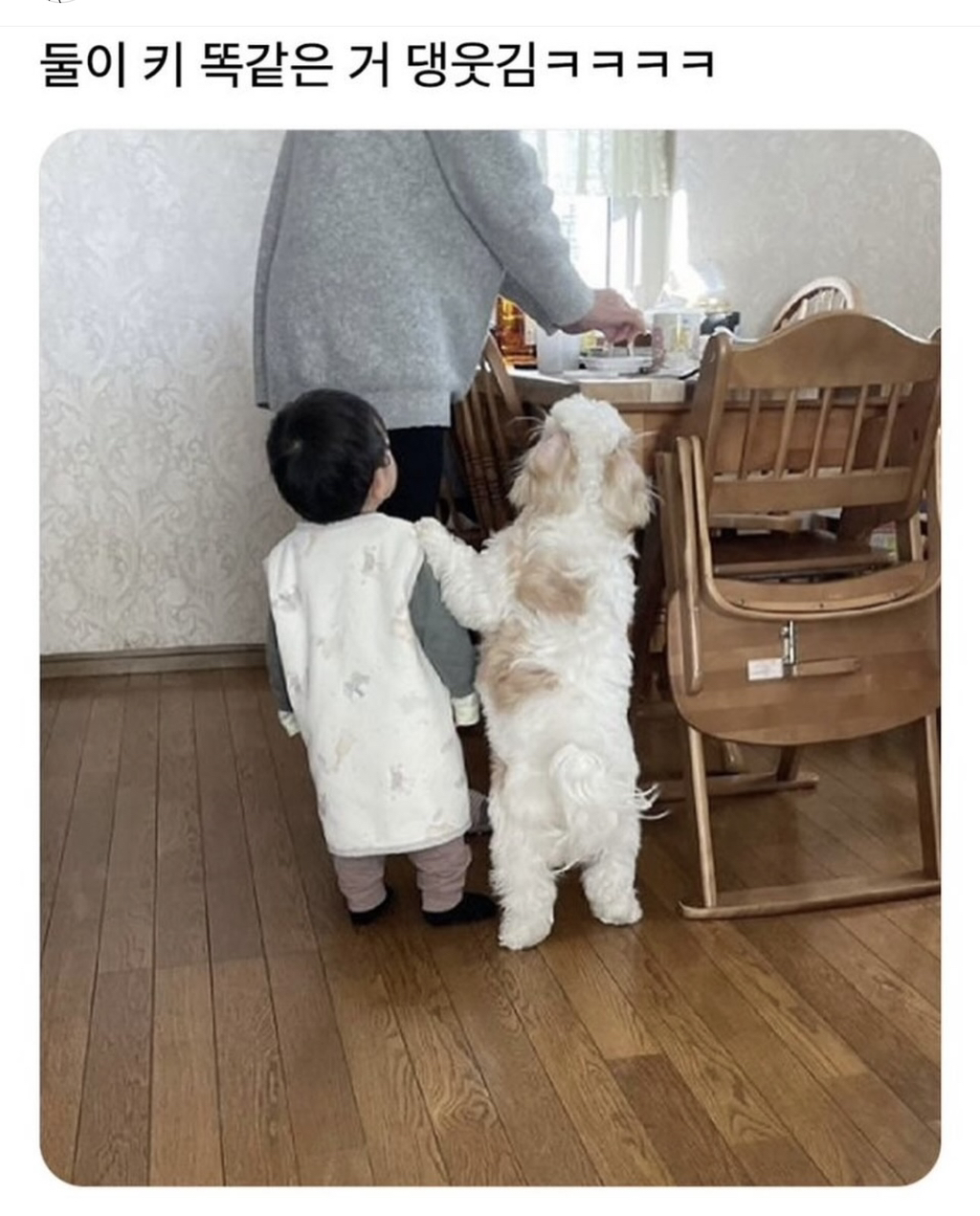 금수저은수저 이미지