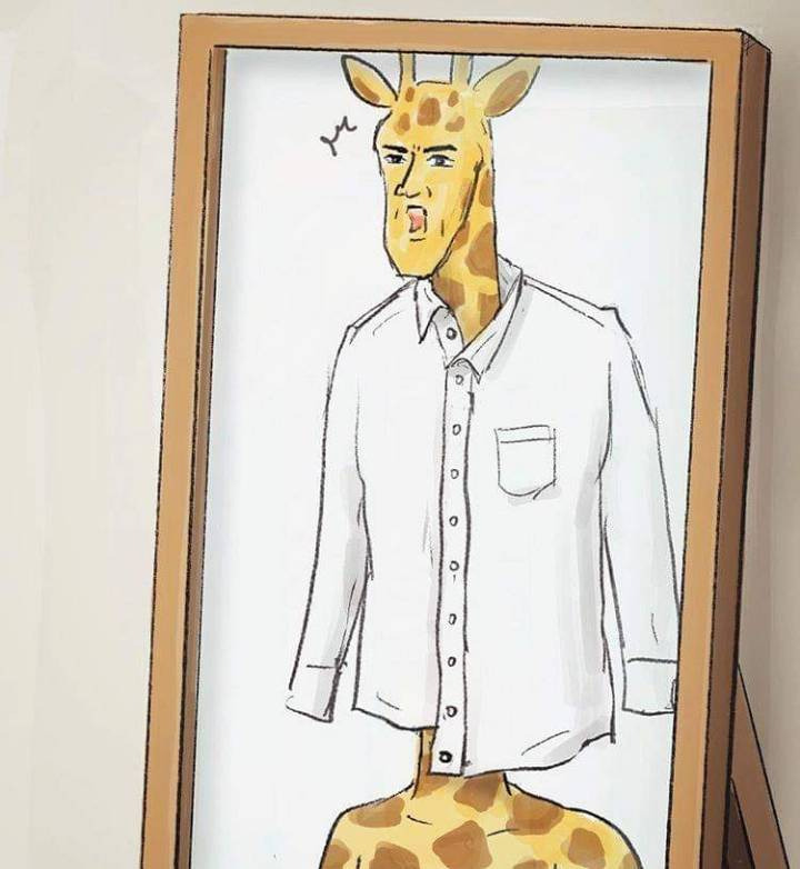 기린 이미지