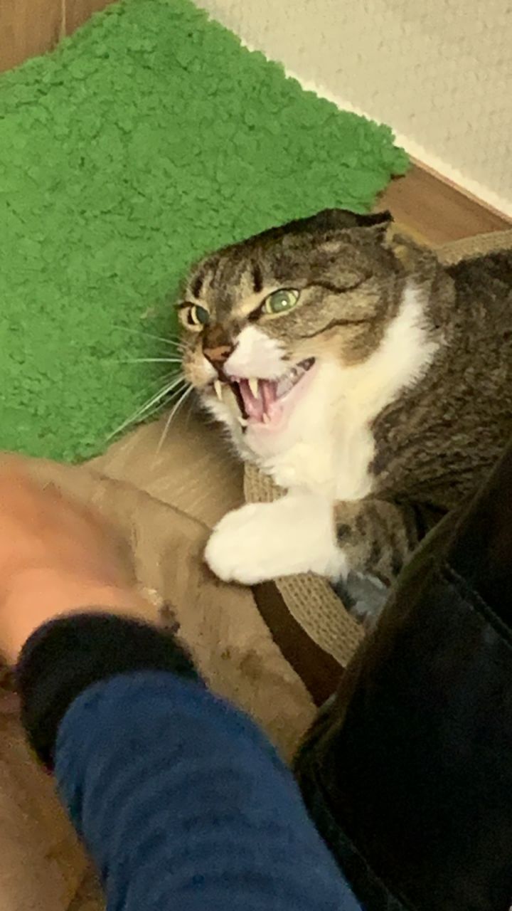 봉구삼촌 이미지