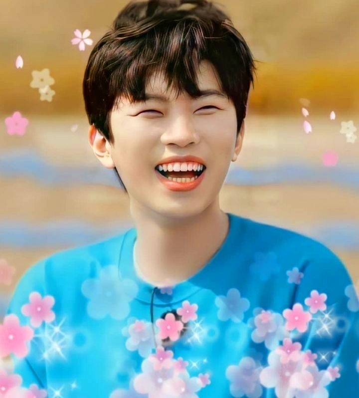 무해 이미지