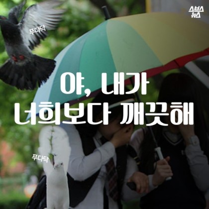 안녕. 나는 비둘기야 | 인스티즈