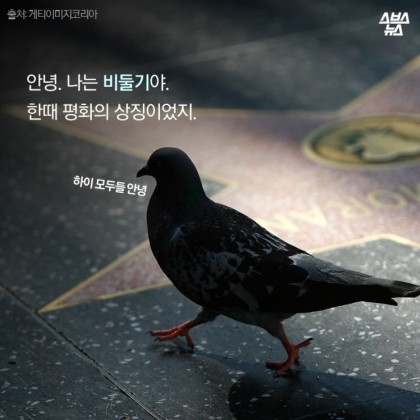 안녕. 나는 비둘기야 | 인스티즈