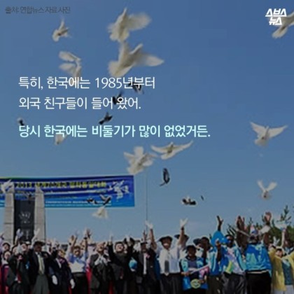 안녕. 나는 비둘기야 | 인스티즈