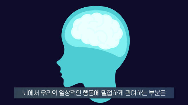 무기력한 사람들의 뇌 MRI 찍어보니.. 소름돋는 결과 | 인스티즈
