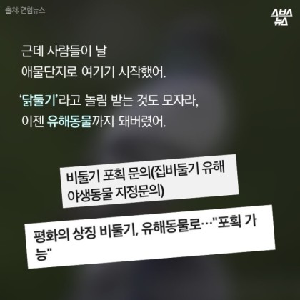 안녕. 나는 비둘기야 | 인스티즈