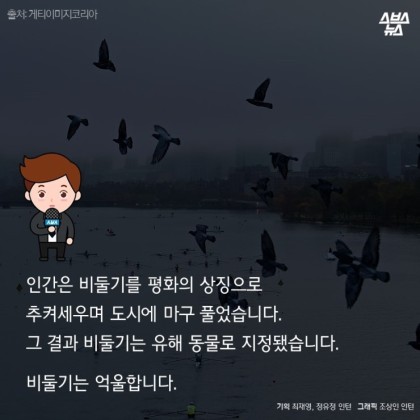 안녕. 나는 비둘기야 | 인스티즈