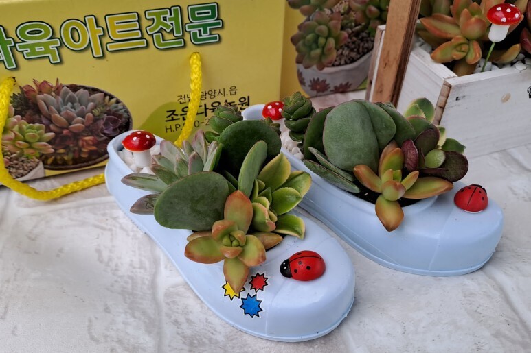 조은농원 이미지