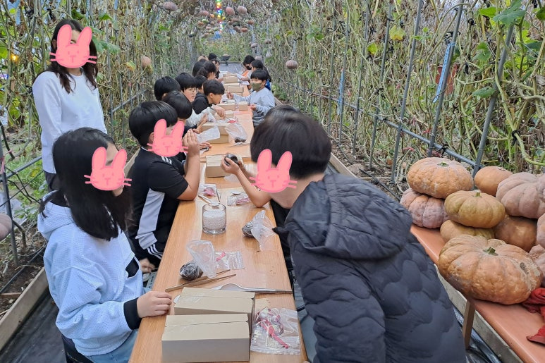 꽃길다육 이미지
