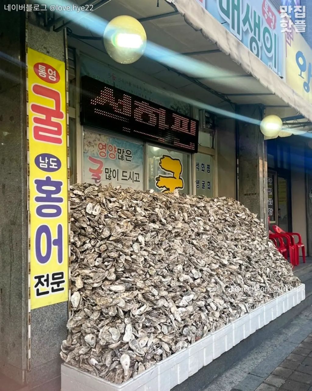 바다향 이미지