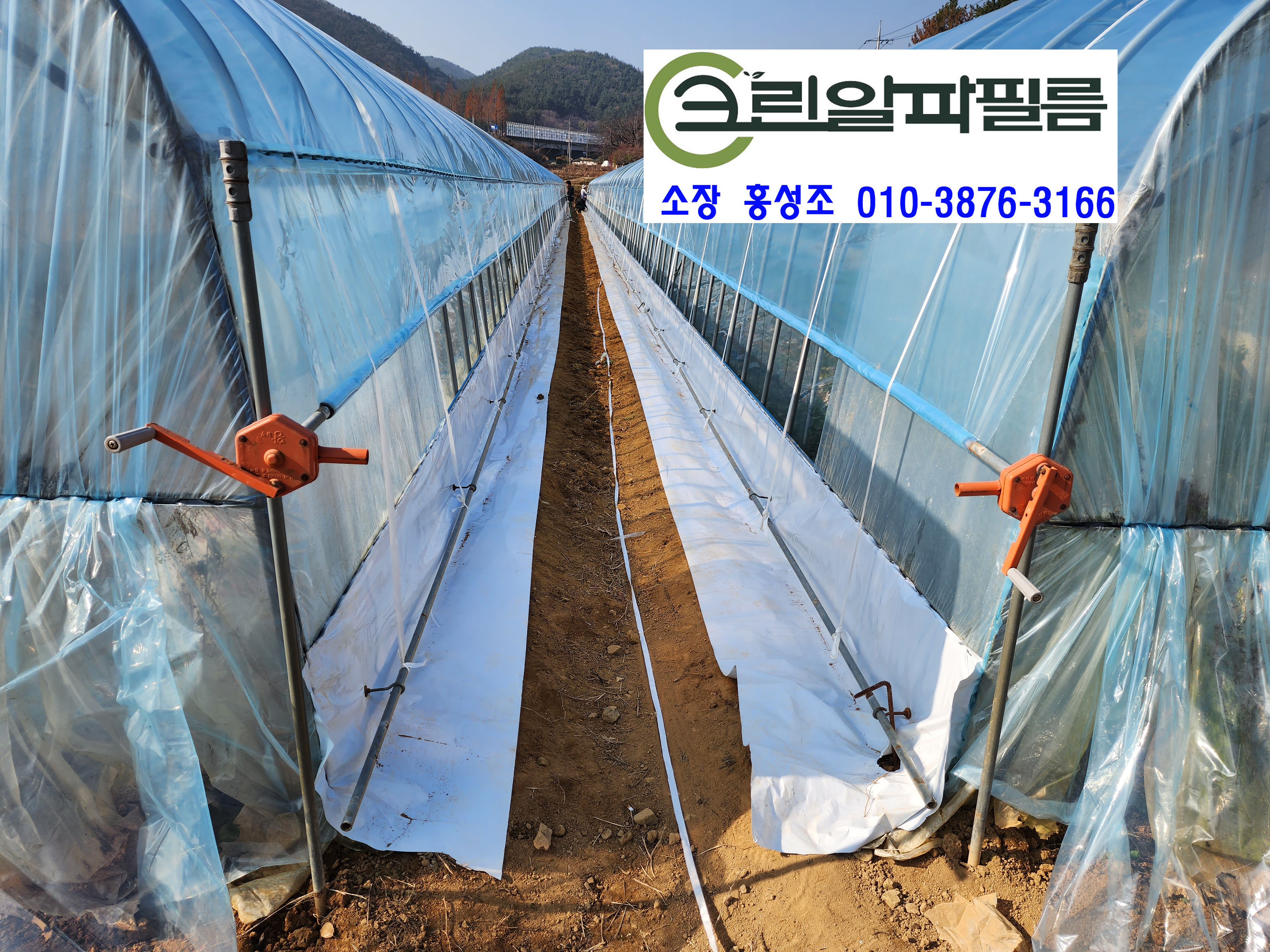 알파크린 이미지