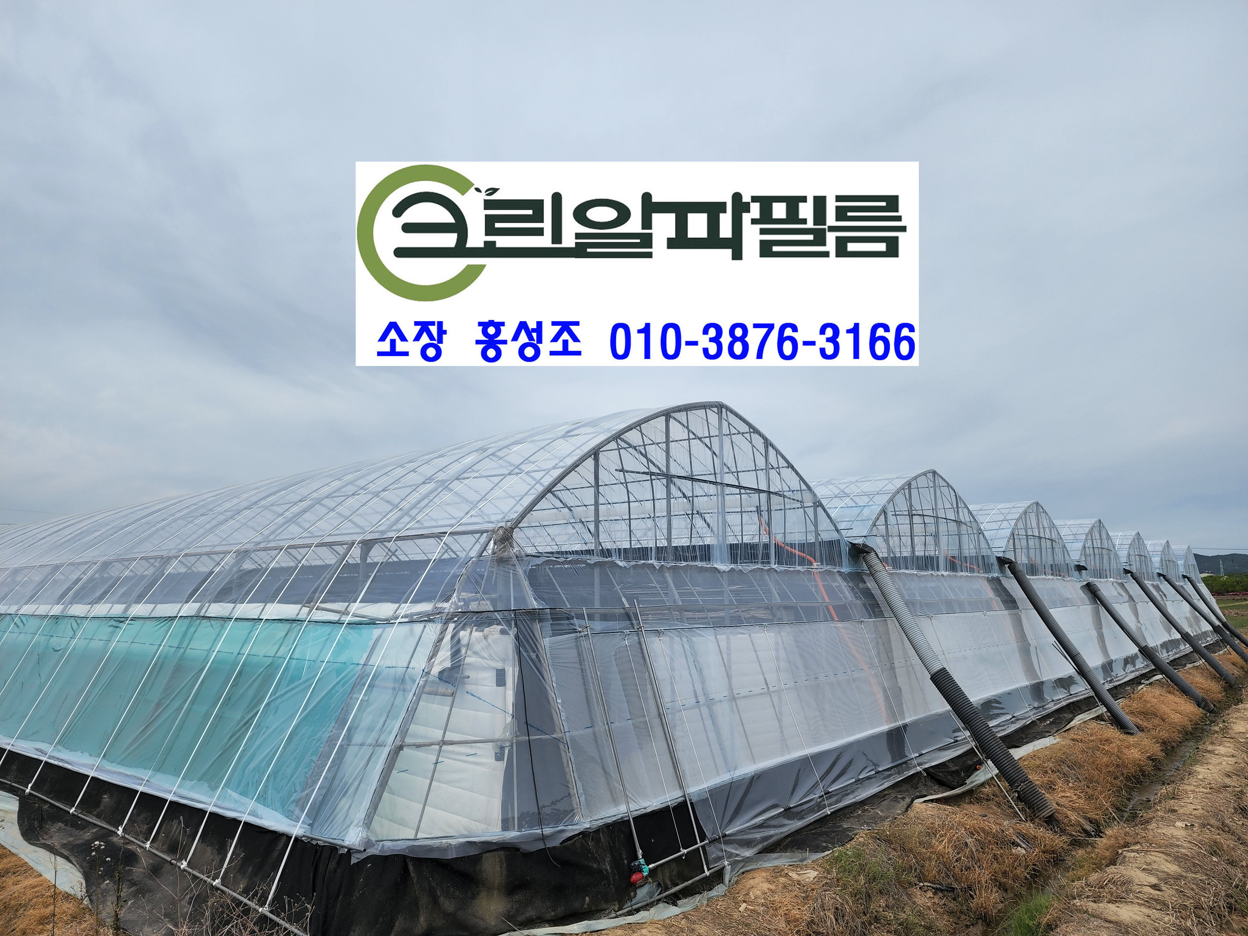 크린알파필름 이미지