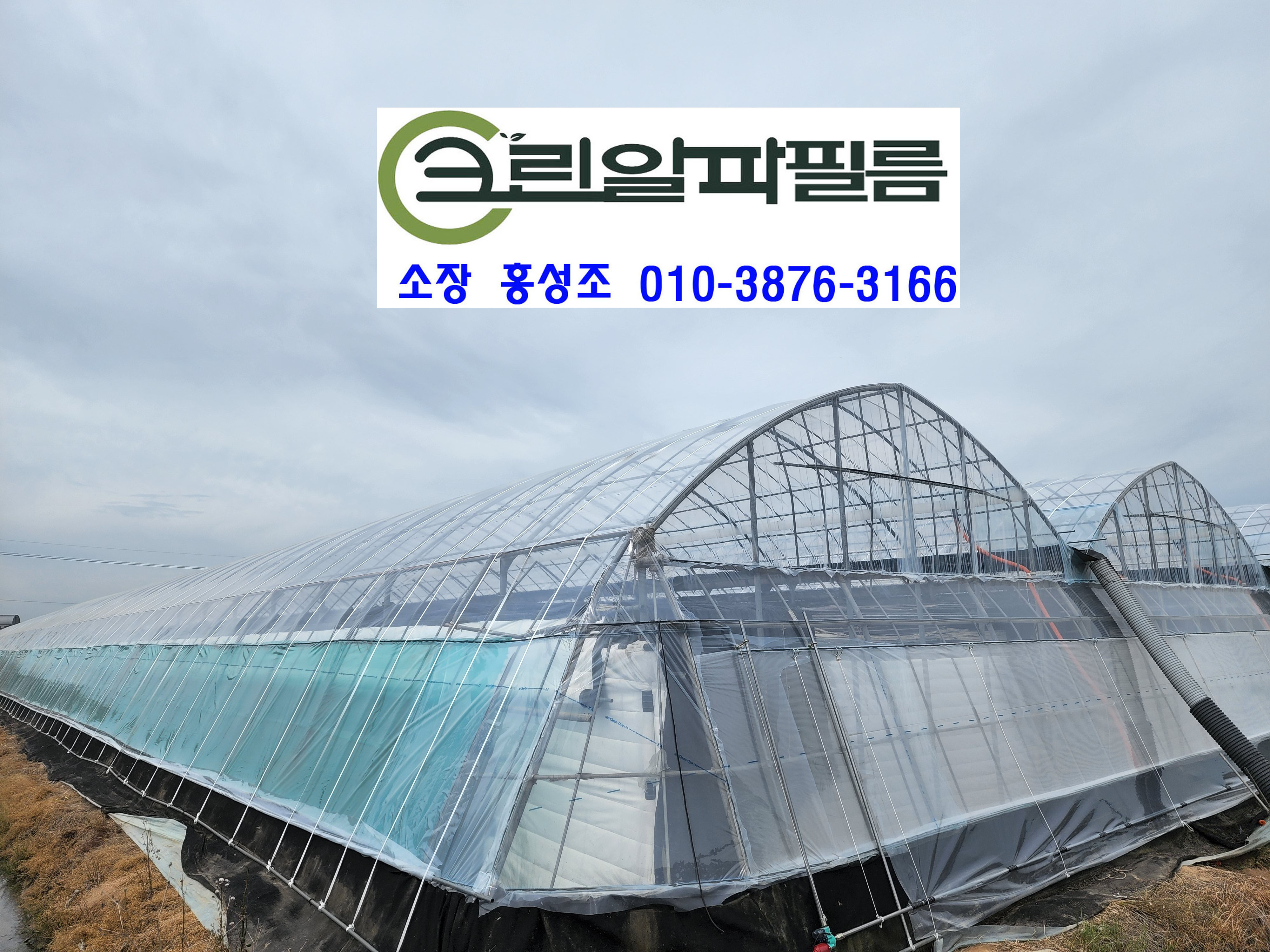 크린알파필름 이미지