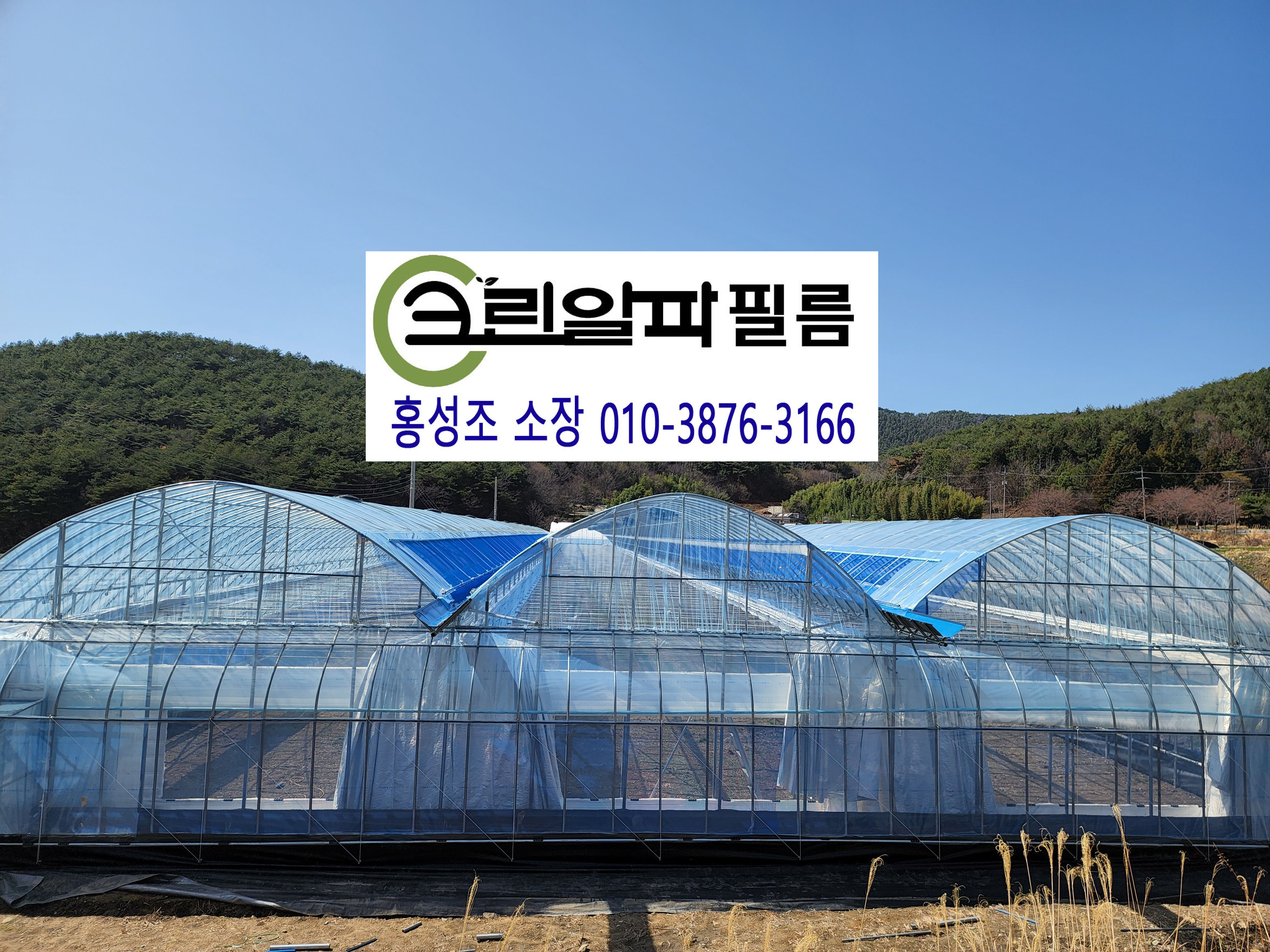 크린알파필름 이미지