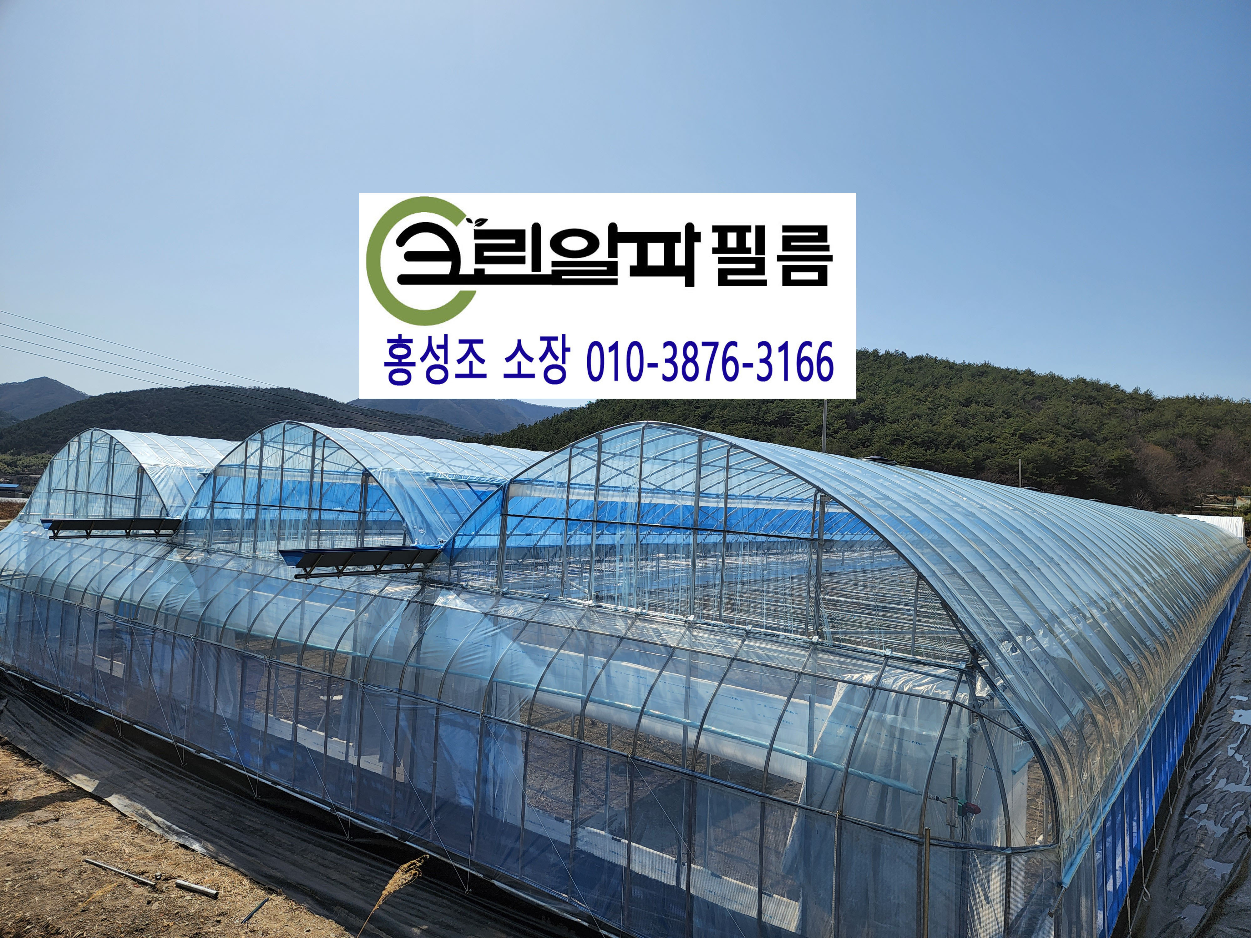 크린알파필름 이미지
