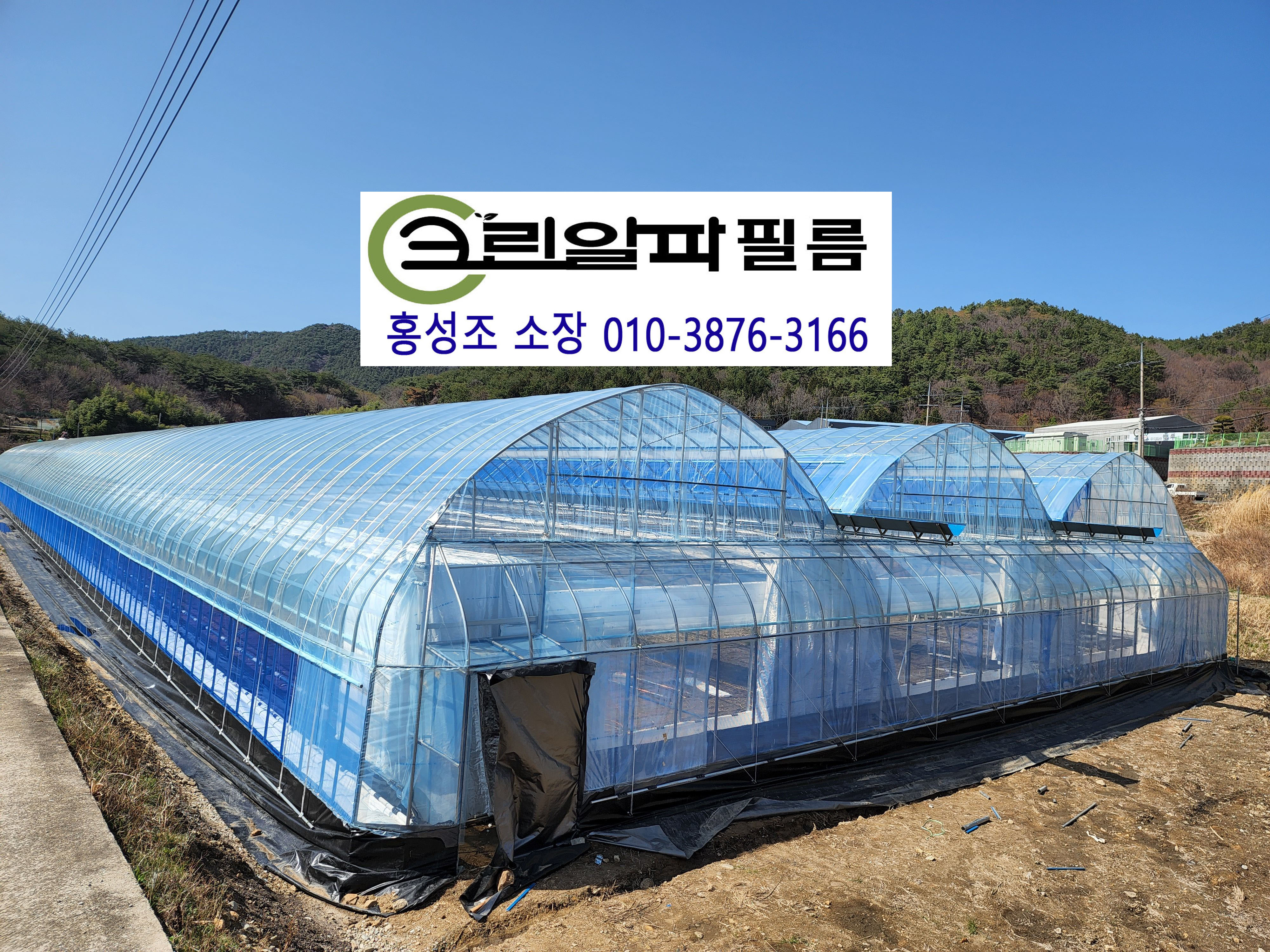 크린알파필름 이미지