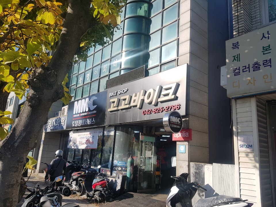 고고샵 이미지