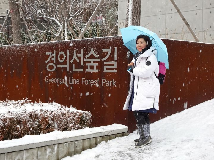 락카페 이미지