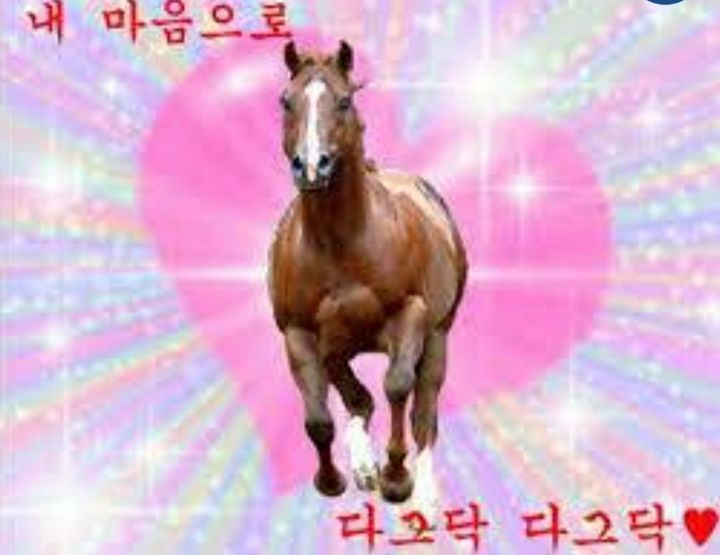 경문 이미지