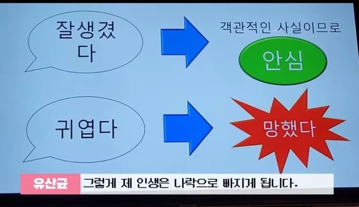 (합)태*사 이미지
