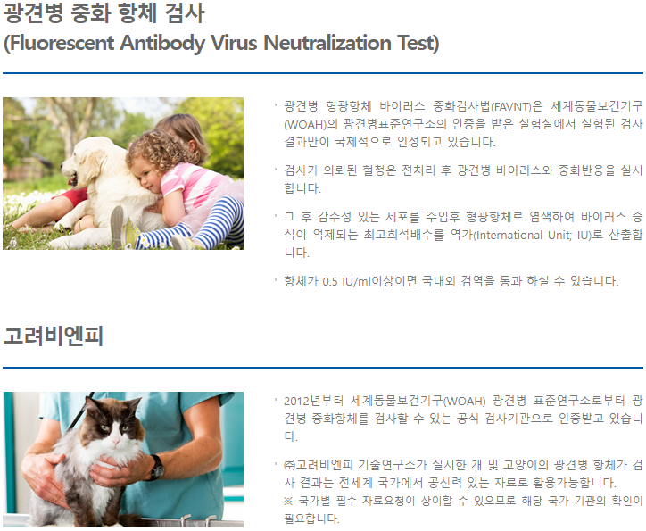 비엔피 이미지