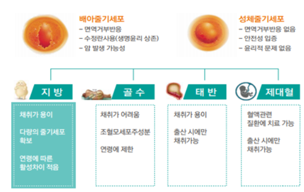 주주파워 이미지