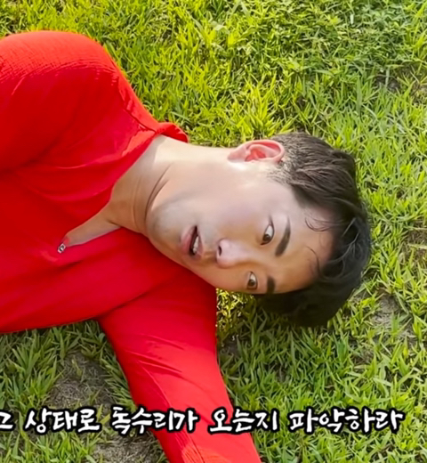 디케이리 이미지
