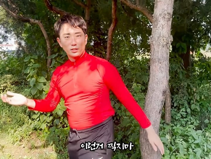 디케이리 이미지