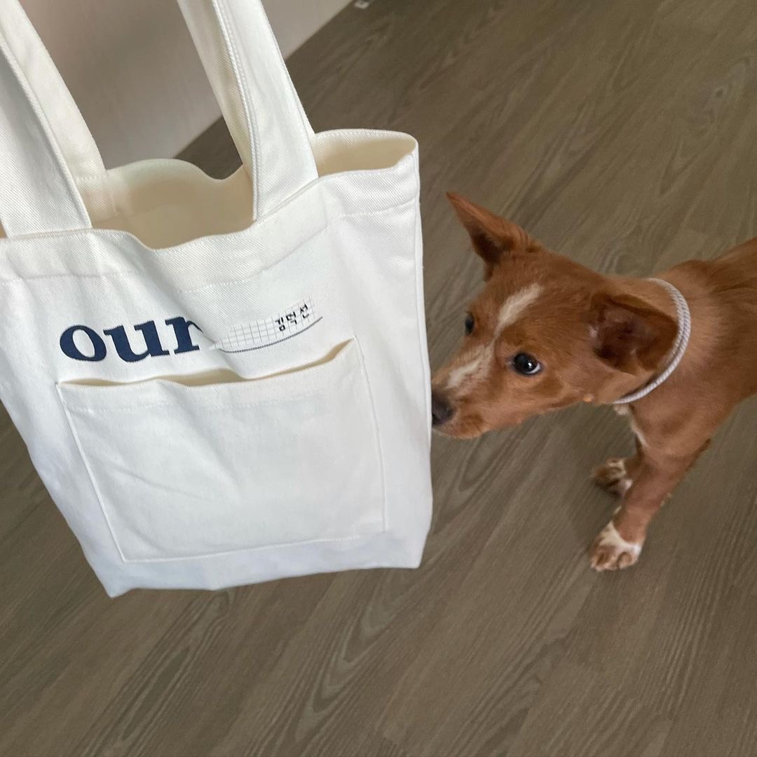 김덕선으로 보는 강아지 유치원 적응기 | 인스티즈