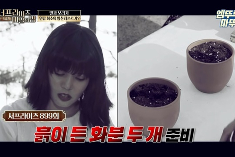 인류 최초의 임신 테스트기 뭔지앎? | 인스티즈