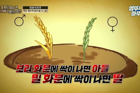 인류 최초의 임신 테스트기 뭔지앎? | 인스티즈