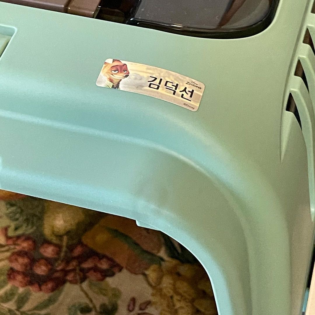 김덕선으로 보는 강아지 유치원 적응기 | 인스티즈