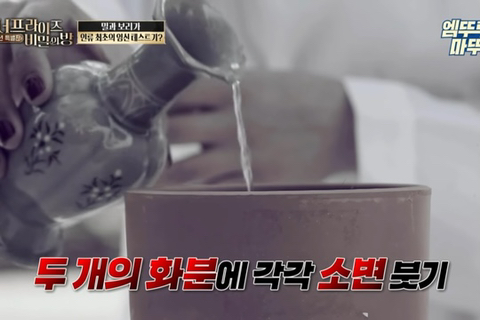 인류 최초의 임신 테스트기 뭔지앎? | 인스티즈