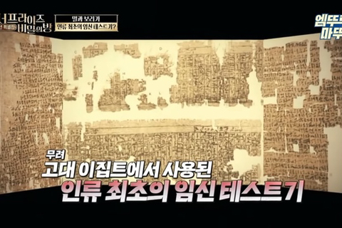 인류 최초의 임신 테스트기 뭔지앎? | 인스티즈