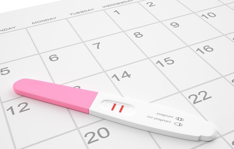 인류 최초의 임신 테스트기 뭔지앎? | 인스티즈