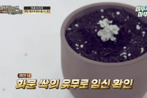 인류 최초의 임신 테스트기 뭔지앎? | 인스티즈