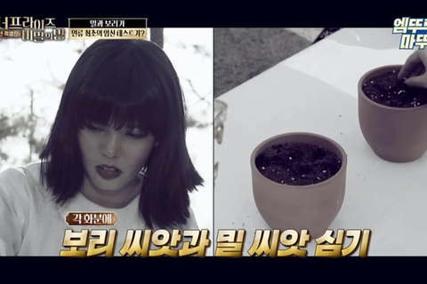 인류 최초의 임신 테스트기 뭔지앎? | 인스티즈