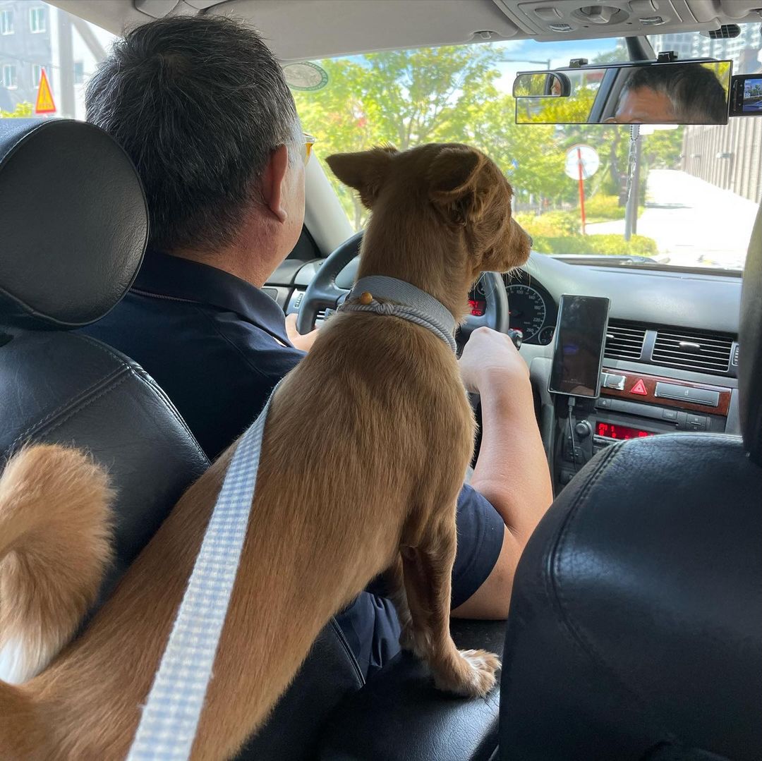 김덕선으로 보는 강아지 유치원 적응기 | 인스티즈