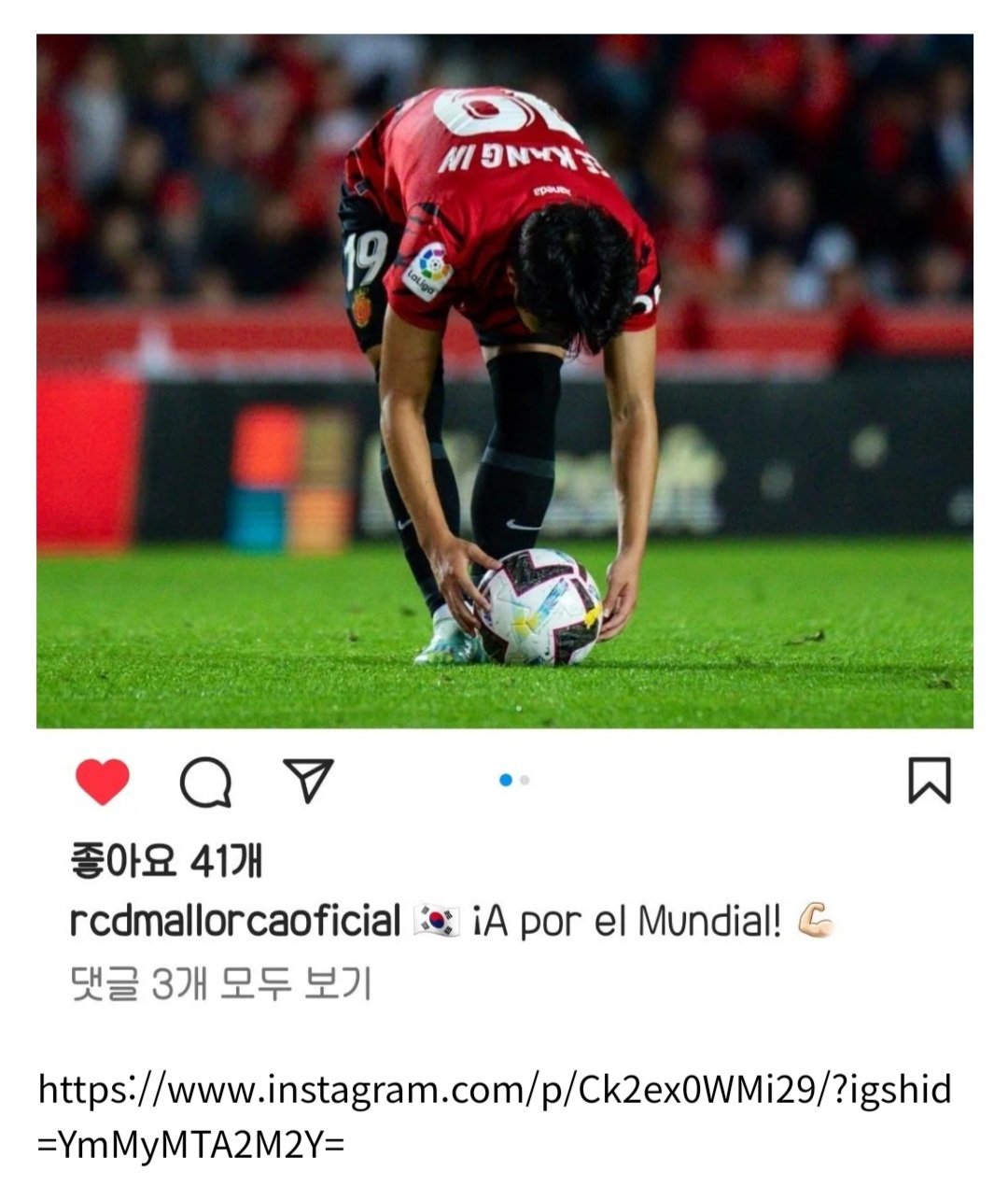 조금 모자라지만 강인이 밖에 모르는 형 ... 아니 홈마 | 인스티즈
