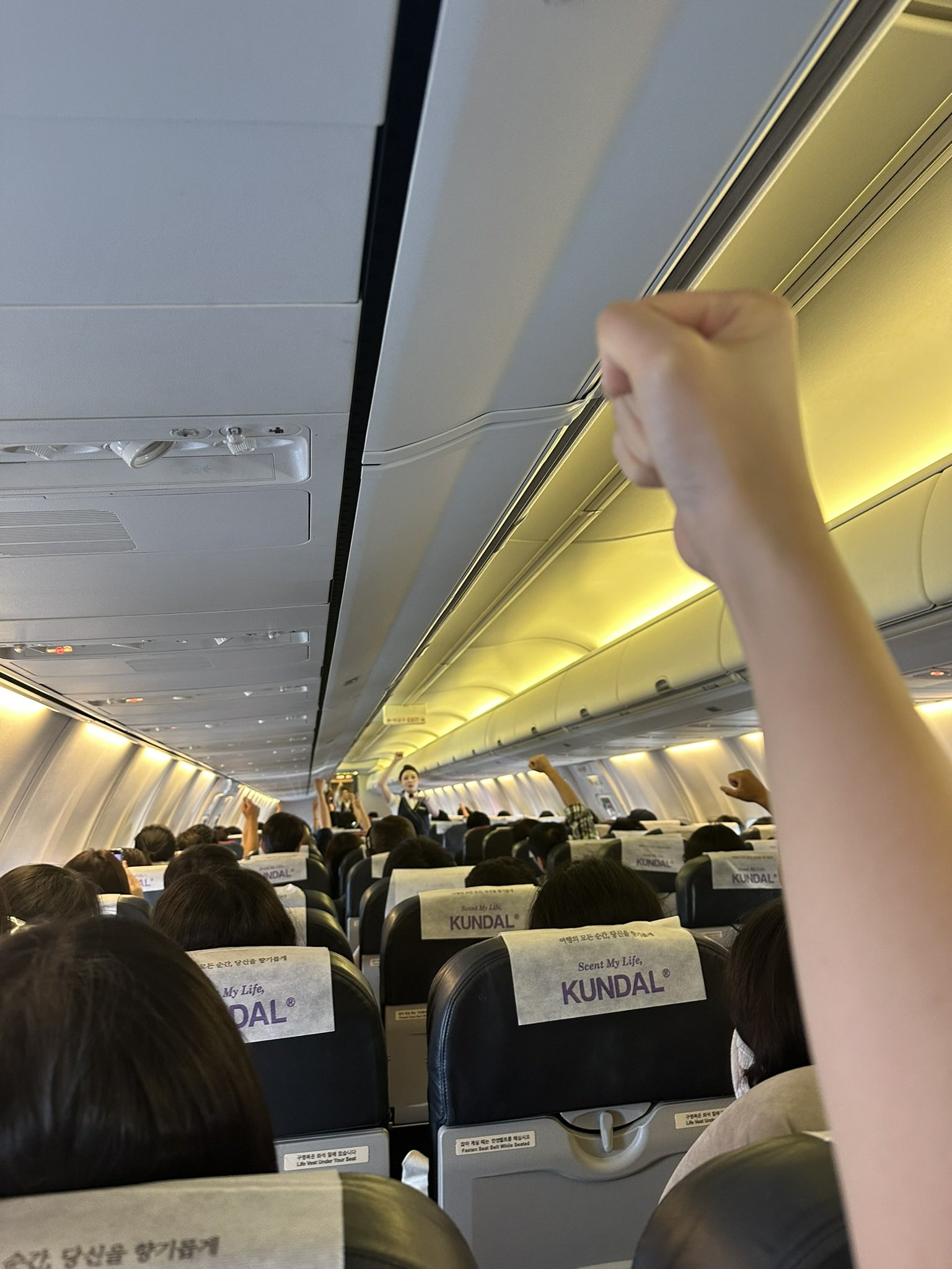 저가 항공=날아다니는 관광버스.twt | 인스티즈