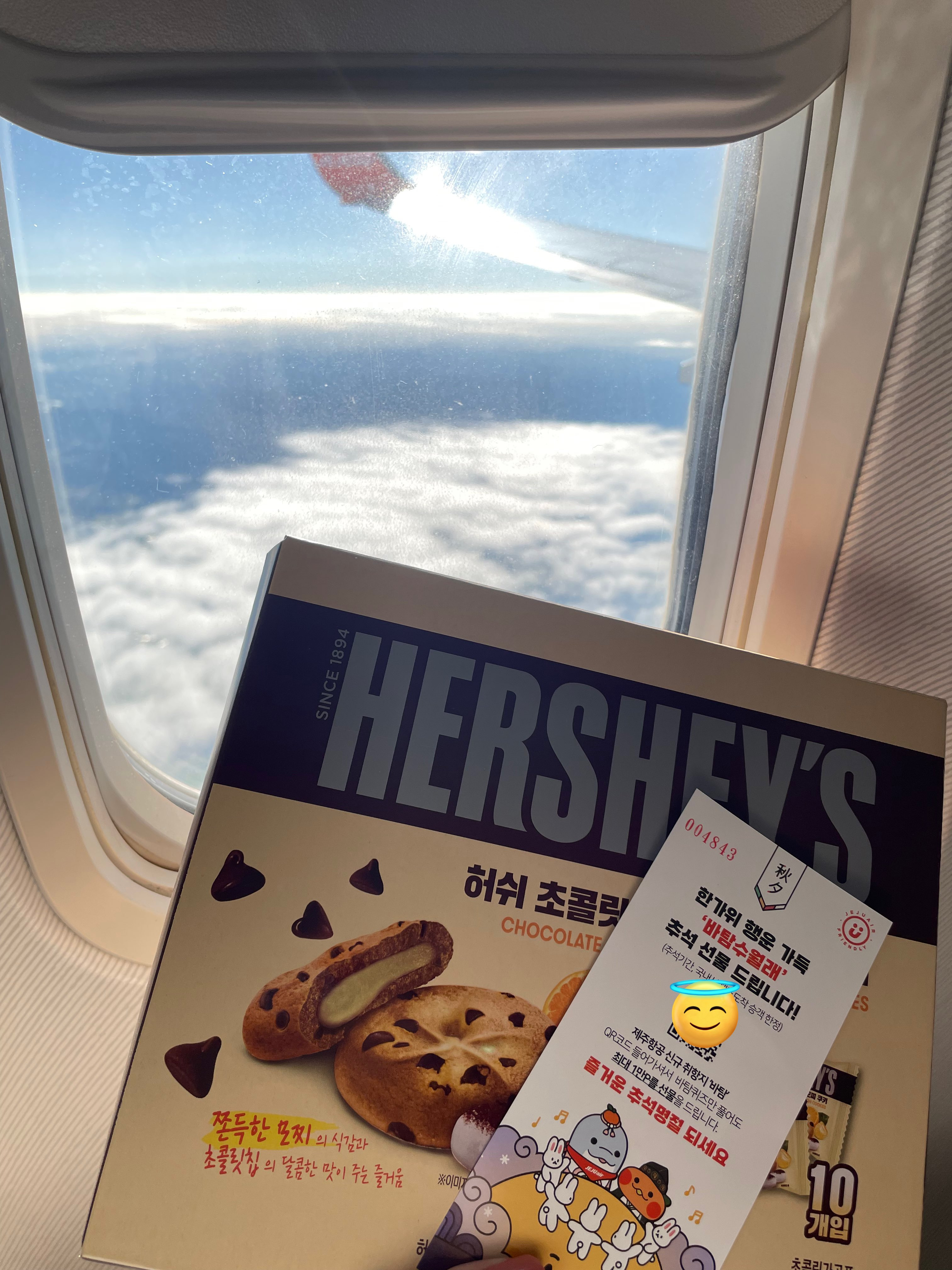 저가 항공=날아다니는 관광버스.twt | 인스티즈