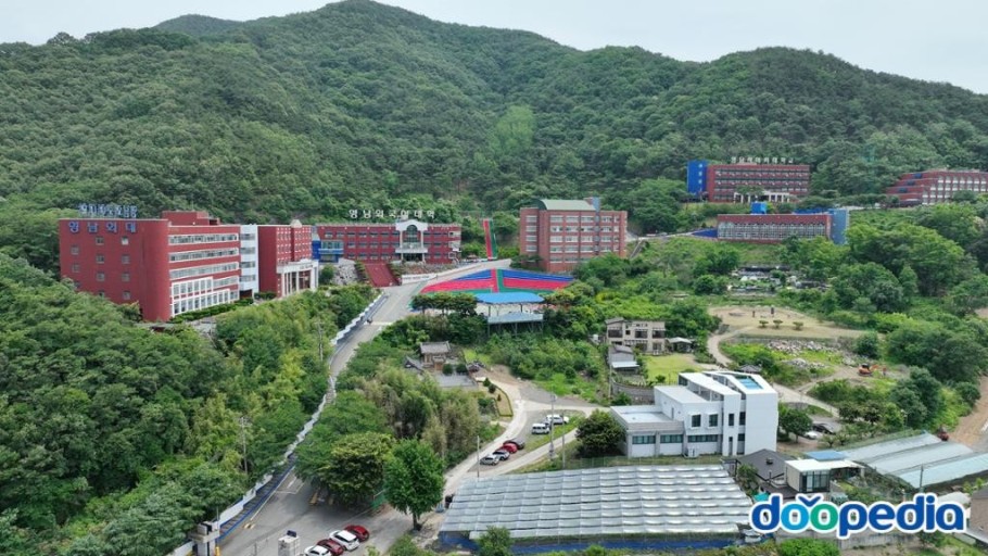 여남공학이 되어 사라진 여자대학교 목록들 | 인스티즈