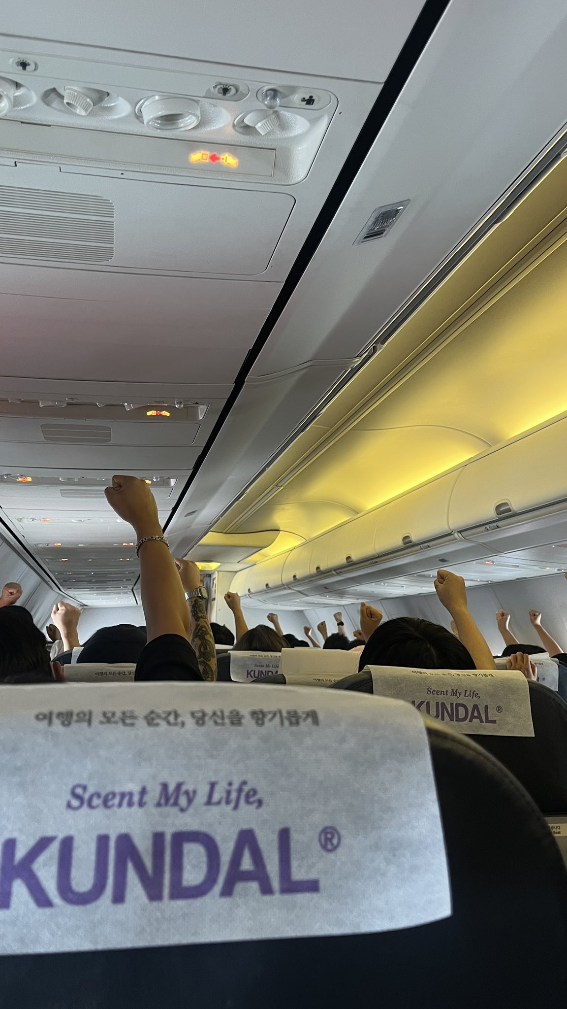 저가 항공=날아다니는 관광버스.twt | 인스티즈