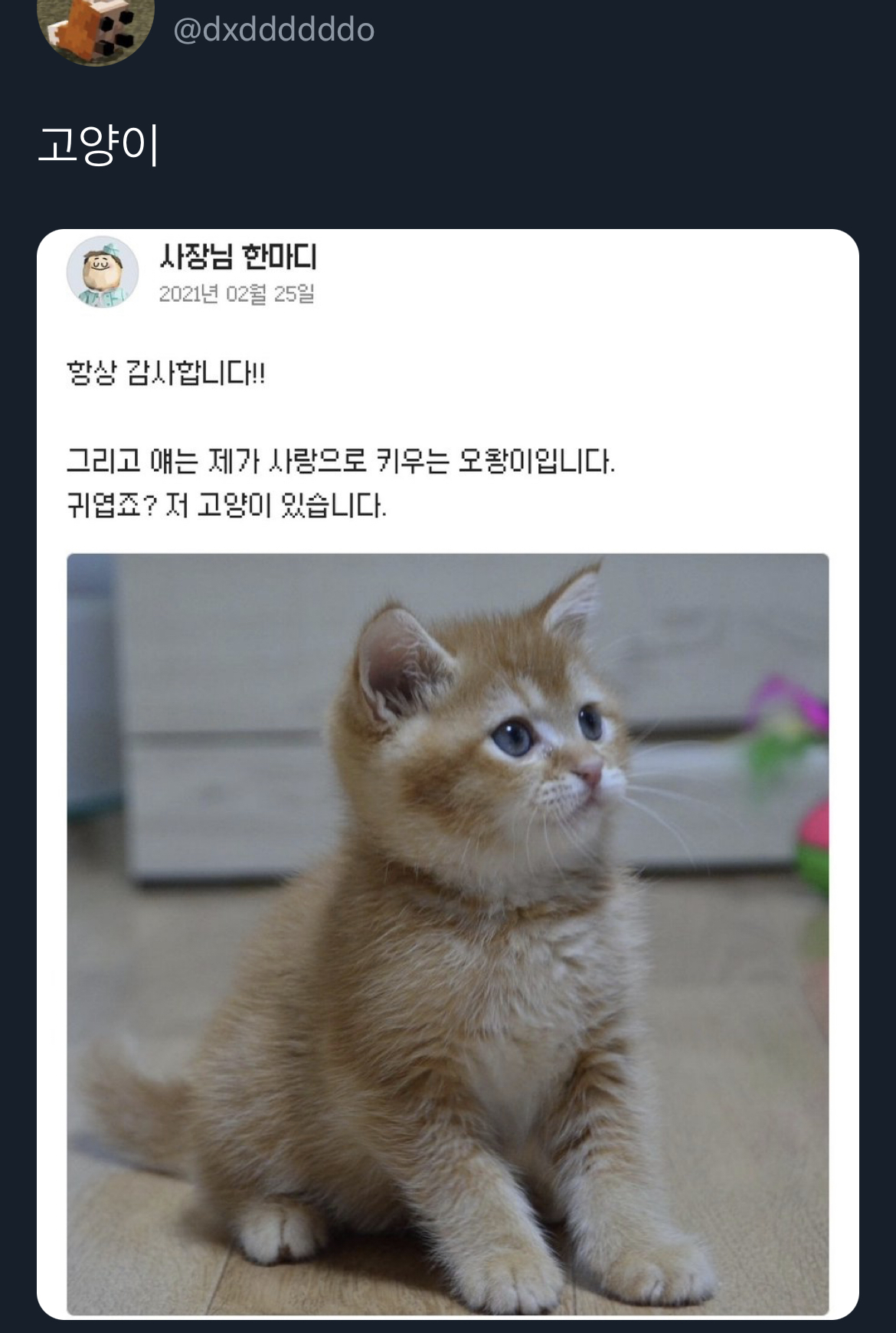 맥락 없이 다짜고짜 하는 개자랑을 좋아하는 편.twt | 인스티즈